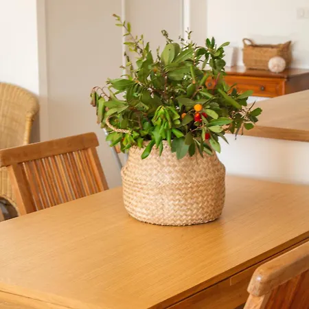 Casa Luna Di Santa Lucia Sainte-Lucie de Porto-Vecchio